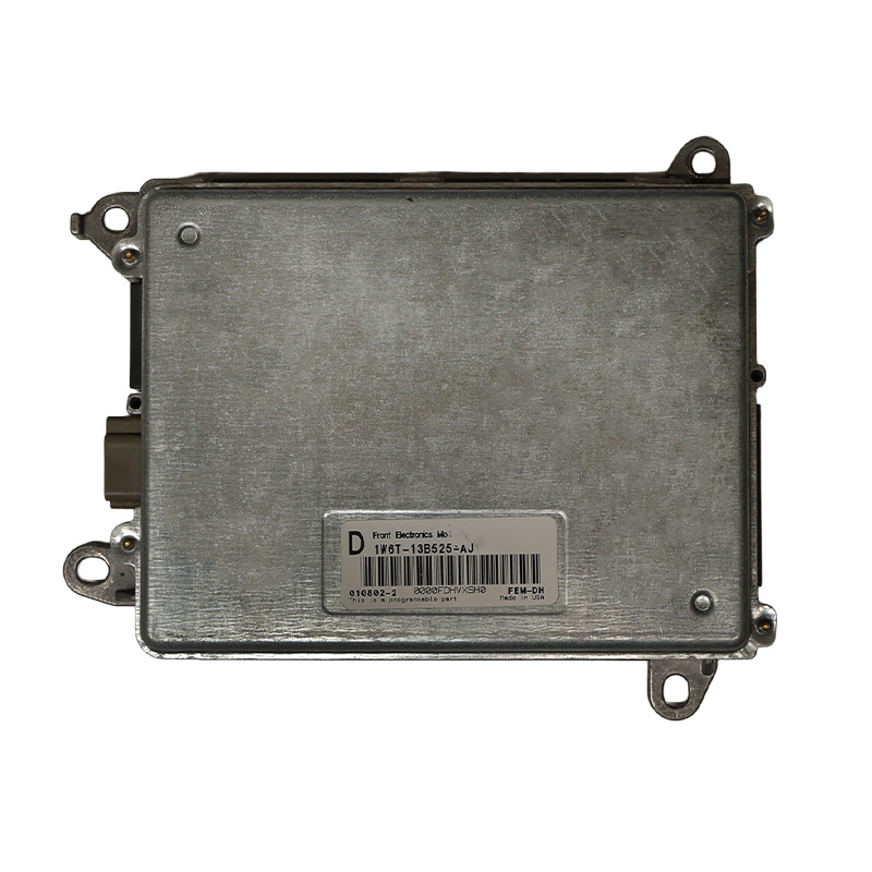 Ford Thunderbird FEM REM Repair Service